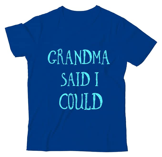 grandma said i could t shirt